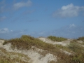 npi8dune-111007.JPG