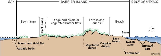Mustang Island Cross Section