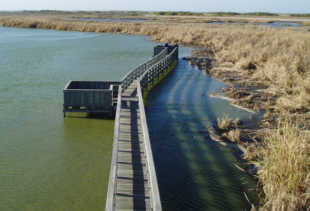 Boardwalk at the Leona Belle Turnbull Birding Center on Mustang Island.