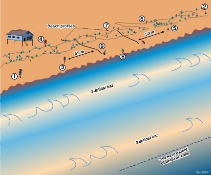 Measuring foredune orientation