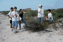 Using the horizon for the level line.