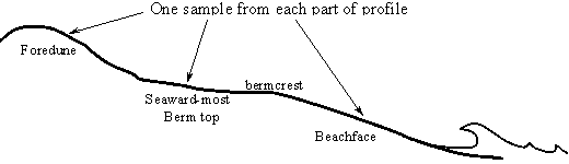 Beach Profile Sketch