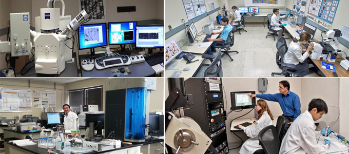 Bureau of Economic Laboratory Facilities and Capabilities