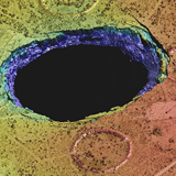 Near-Surface Geophysics