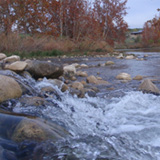 Species, Water, and Landscape Studies