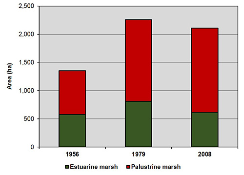 Areal distribution of emergent marsh habitats