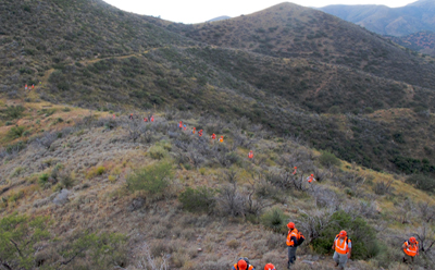 Bisbee trip, grassy hill