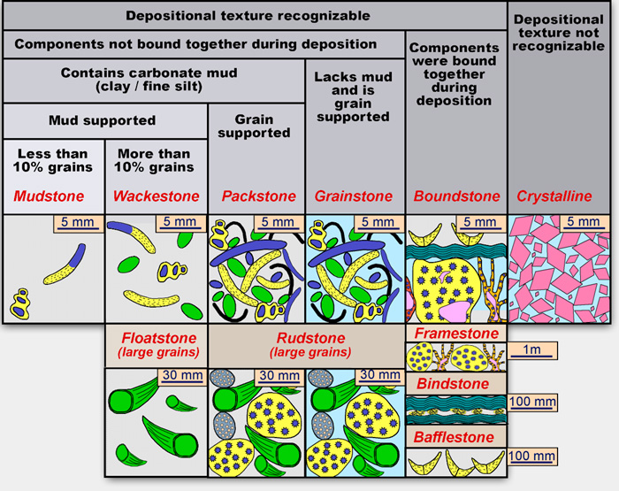 carbonate environments