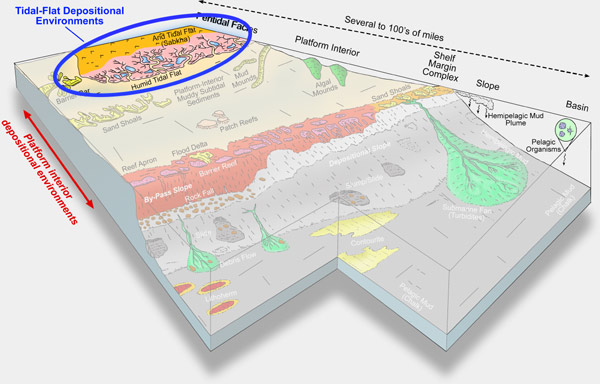 carbonate environments