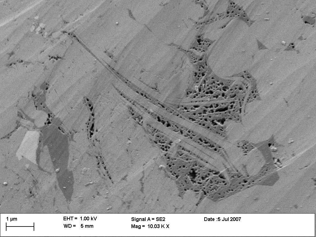 2007 pore SEM image