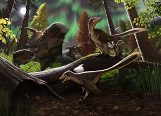 dromaeosaurid dinosaur