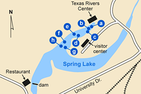 Overview location map of San Marcos Springs. Graphic courtesy of Gregg Eckhardt.