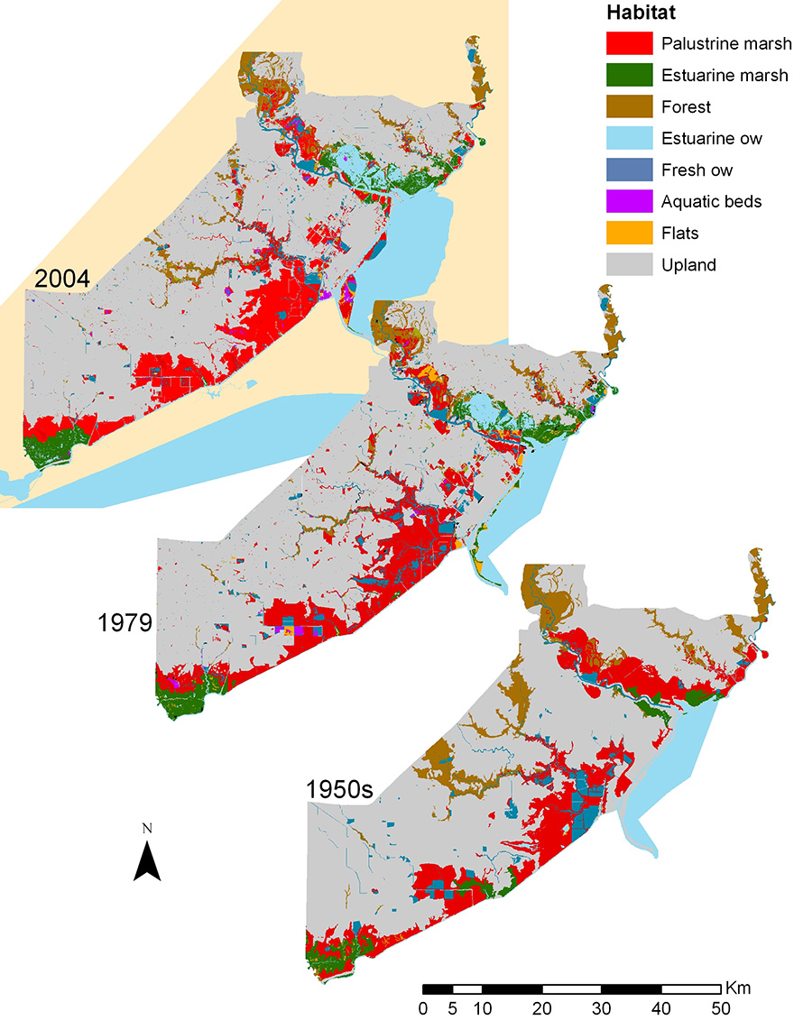 Fig1. Beaumont Trends