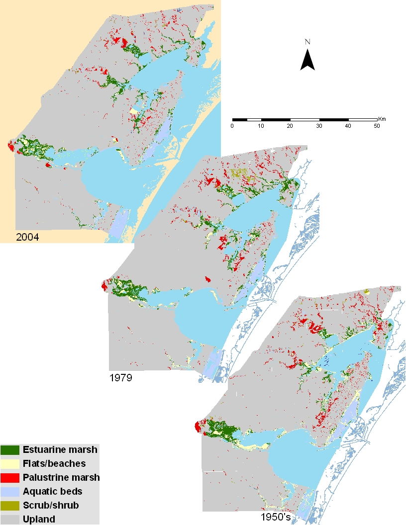 Figure 1. Corpus Christi Trends.png