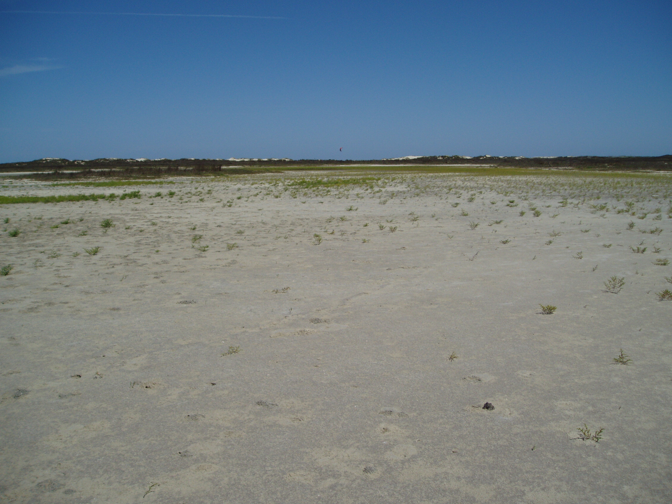 coastal wetlands