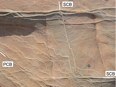 Pure and shear enhanced compaction bands