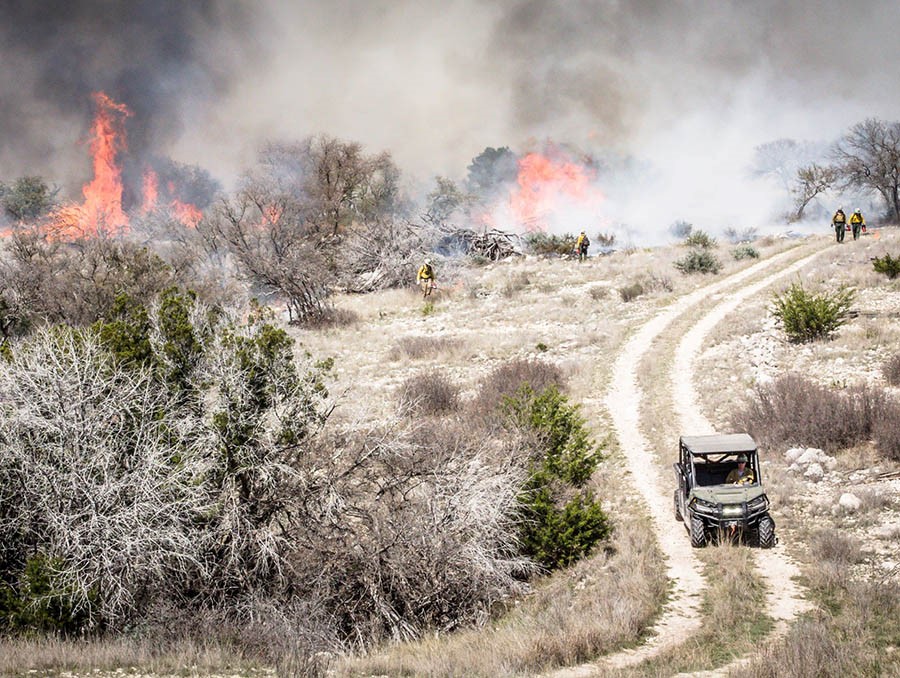 prescribed fire