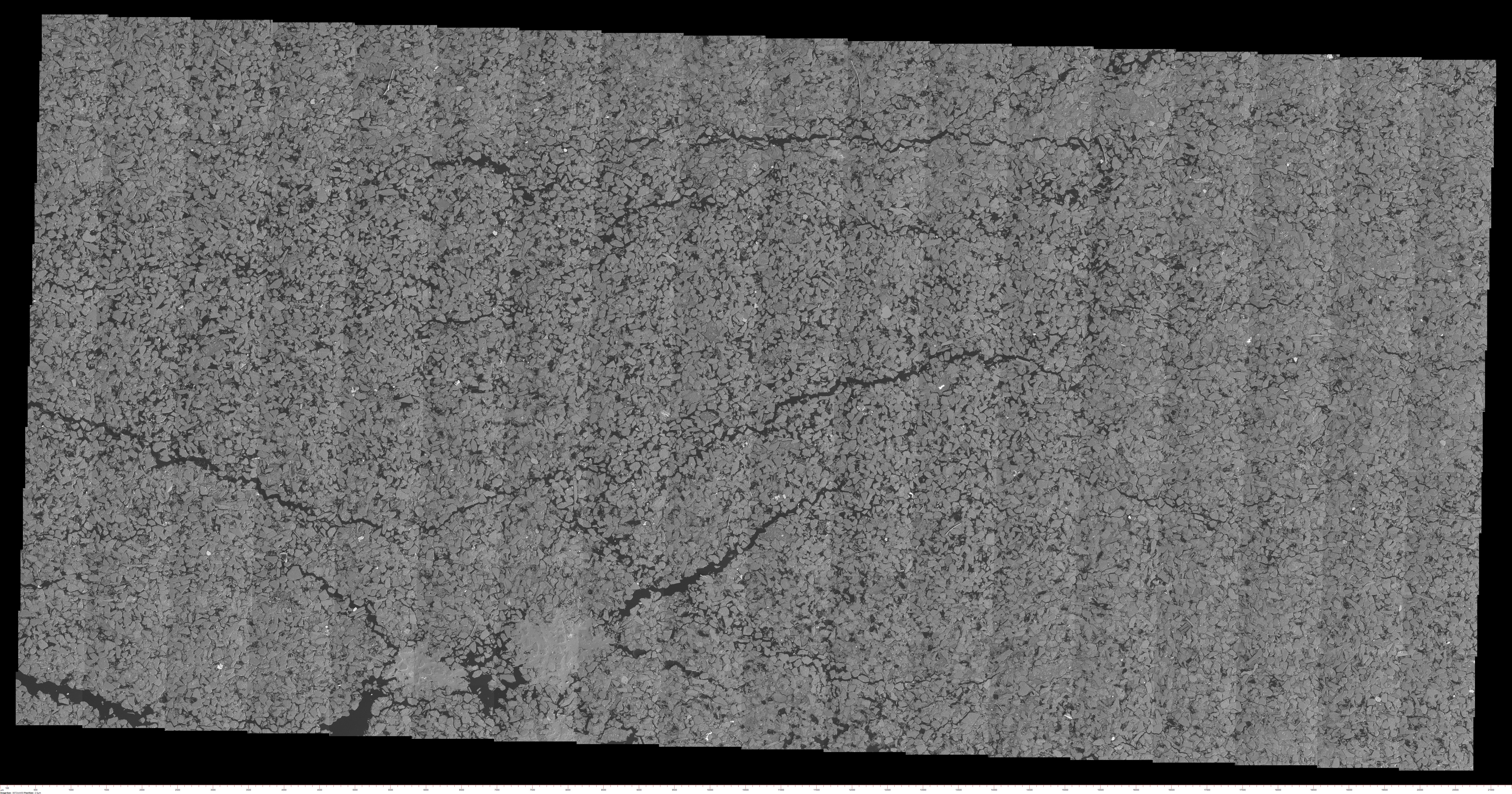 BSE Image