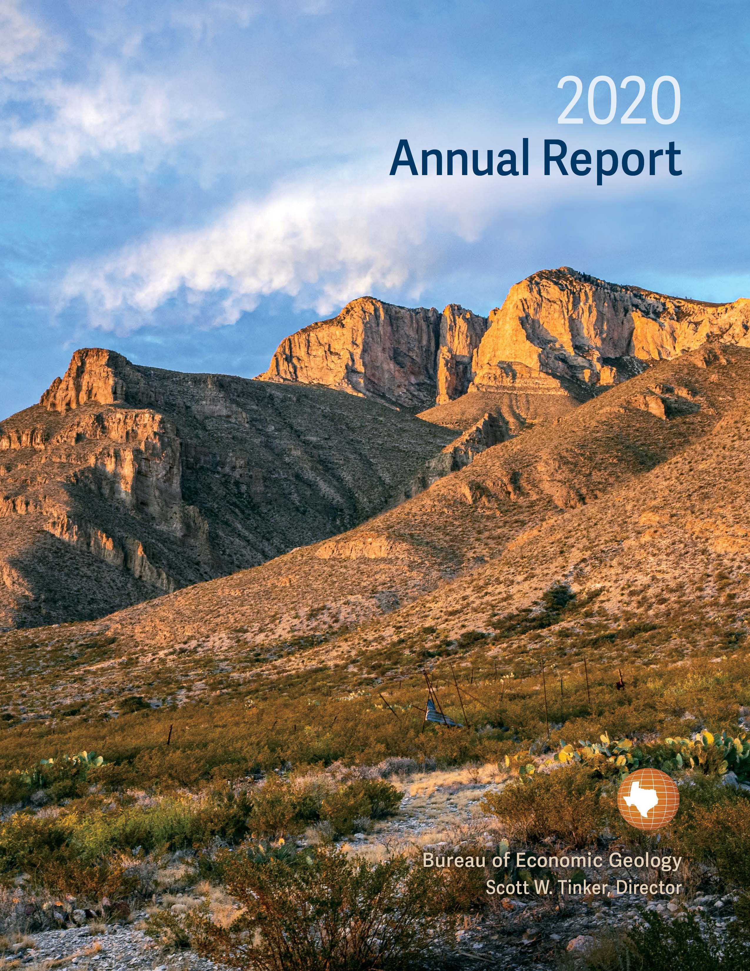 2020 Annual Report