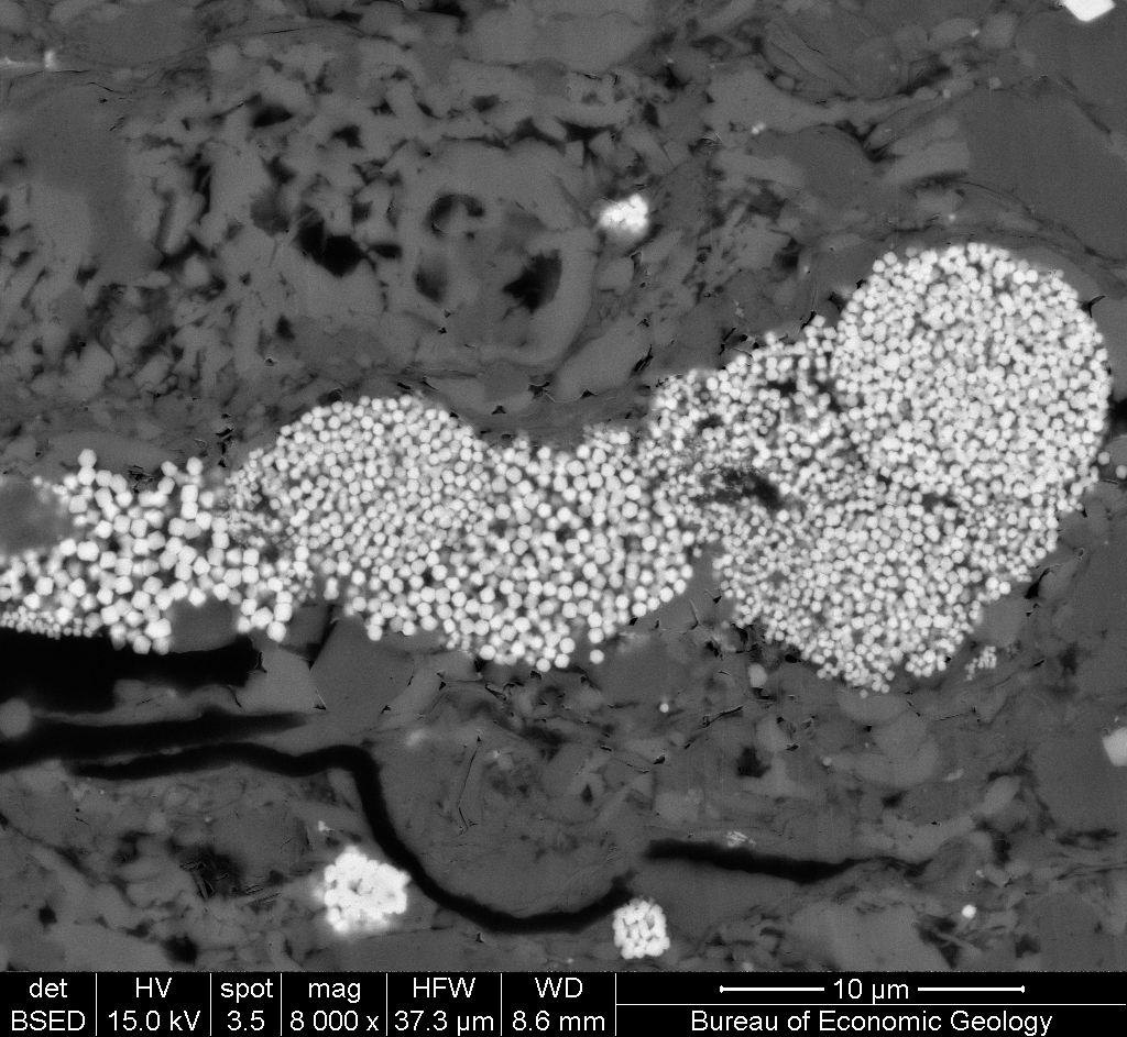 Fig 2-BSE image