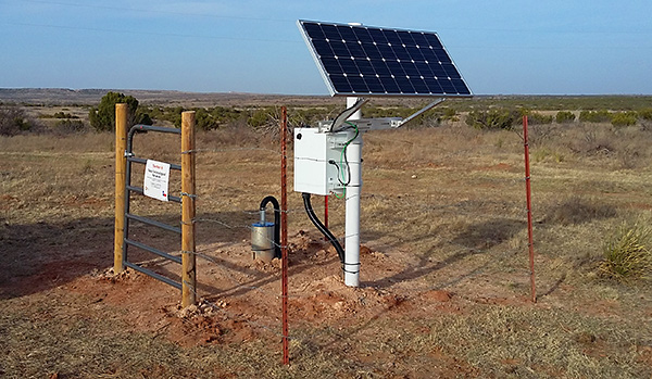 TexNet seismic station