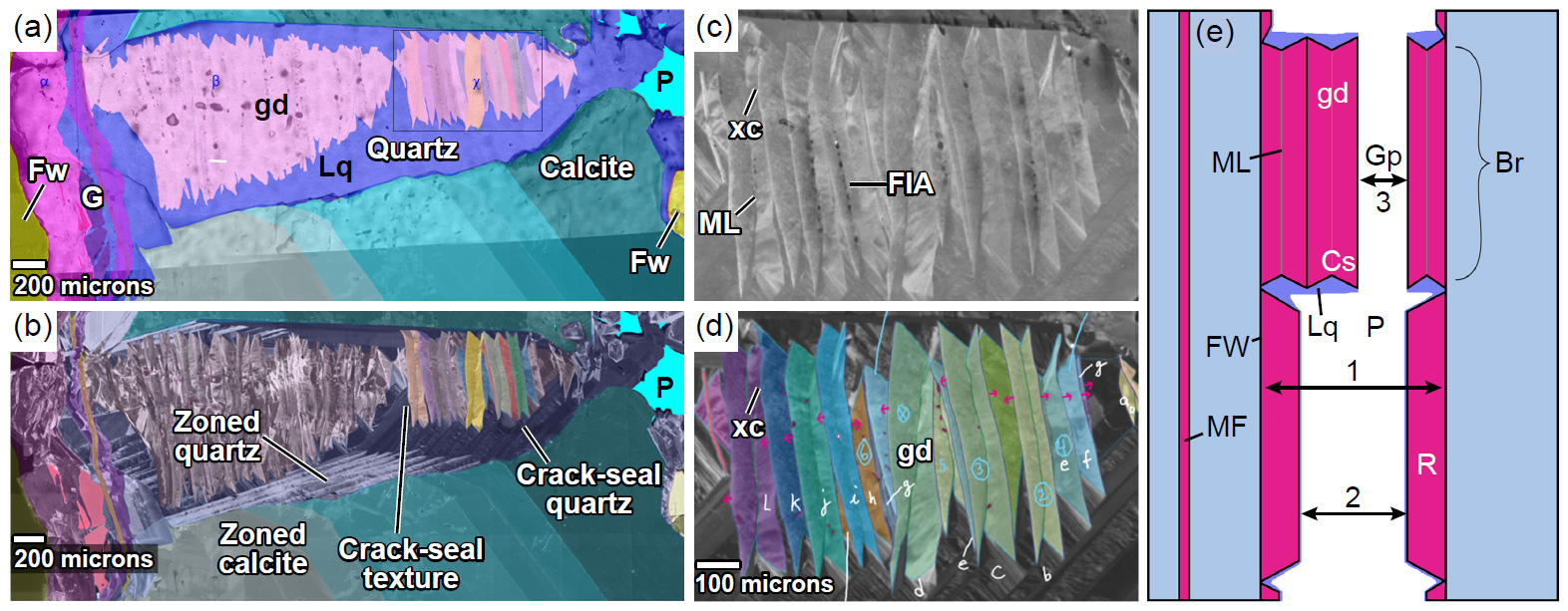 Scanning -electron -microscope images of structural diagenetic textures within fractures