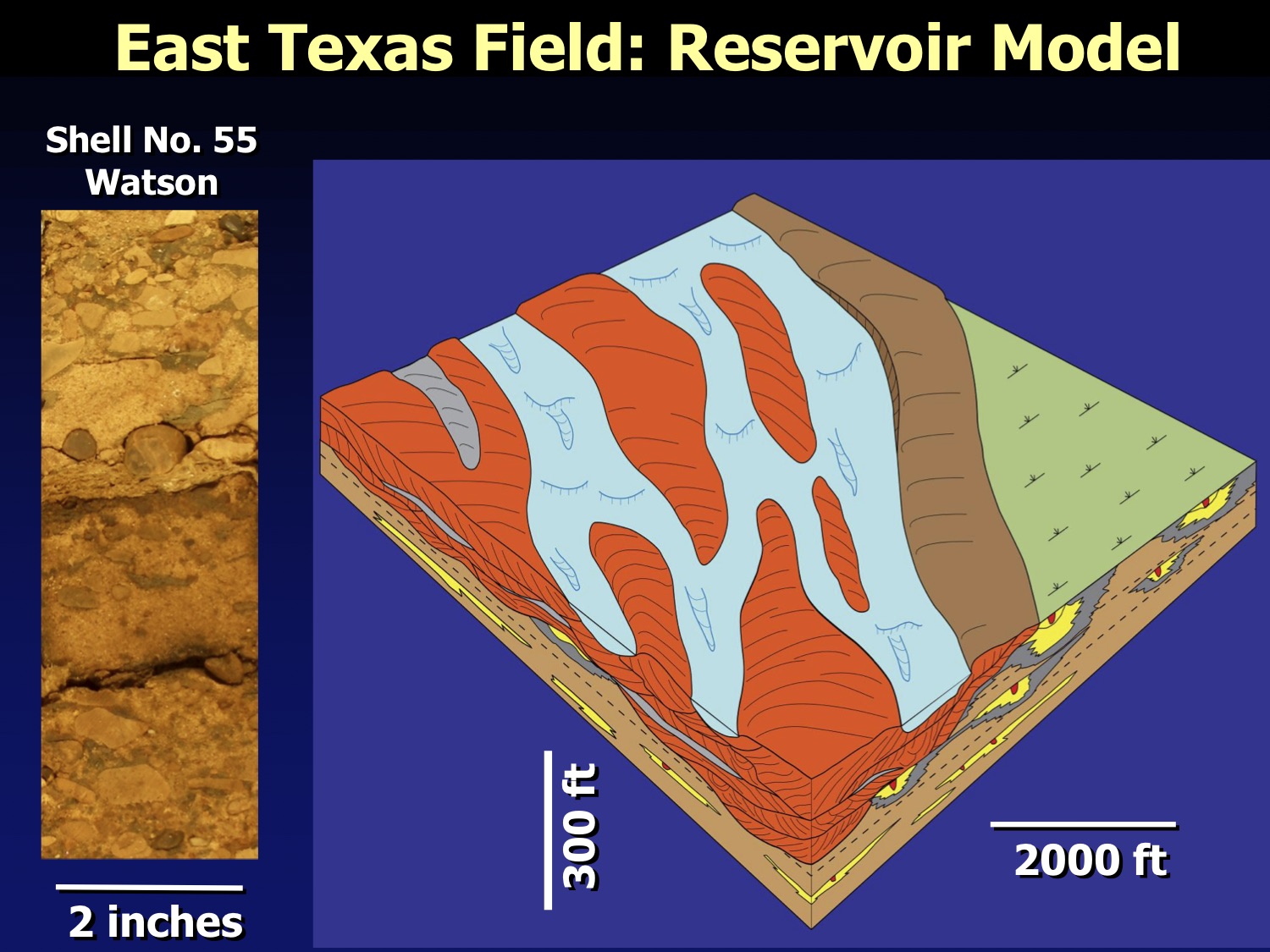 STARR Regional and Field Studies