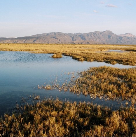 Cuatro Cienegas Springs