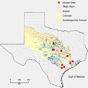 Potential Economic Impacts of Environmental Flows Following a Possible Listing of Endangered Texas Freshwater Mussels