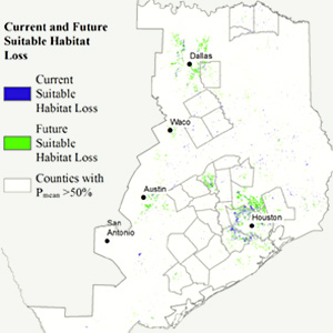 Habitat modeling and conservation of the Western Chicken Turtle (Deirochelys reticularia miaria) in Texas 