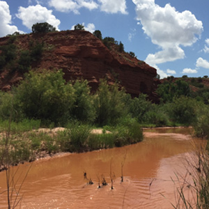 Monitoring Hydrologic Effects of Saltcedar Control Efforts in the Upper Brazos River Basin, Texas