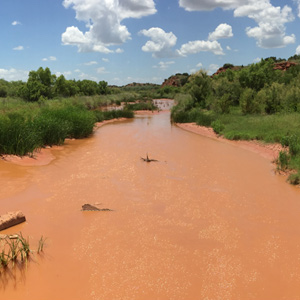 Surface Water-Groundwater Interactions in the Upper Brazos River Basin of Texas and Quantitative Relationship to Smalleye and Sharpnose Shiner Reproductive Success