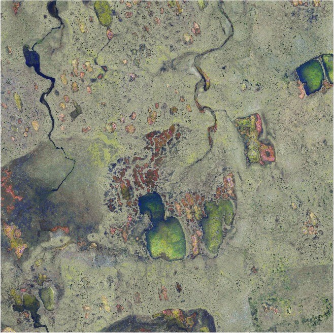 RGB imagery of Alaskan North Slope thermokarst lakes (08/2014).