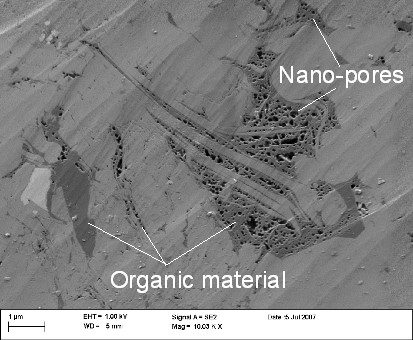 Nanopores