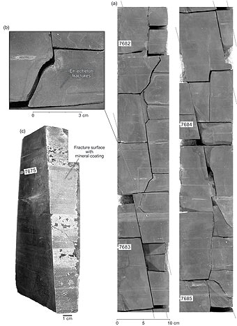 Figure 2. Natural fractures in the T. P. Sims core