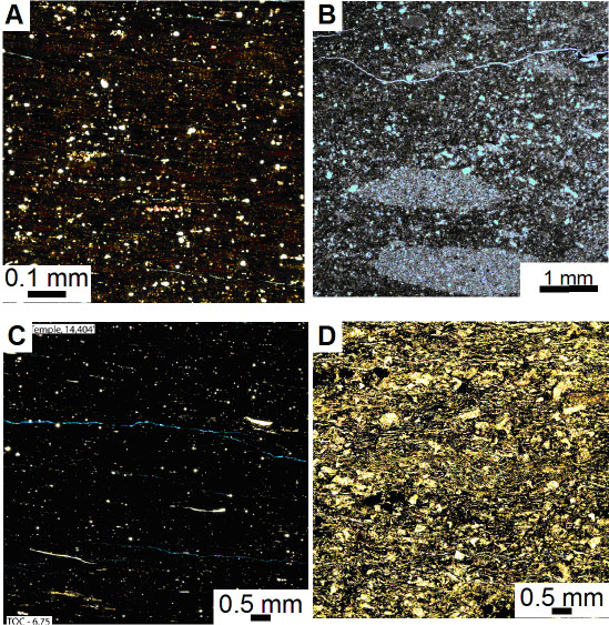 Figure 3: A. Haynesville unlaminated mudstone facies