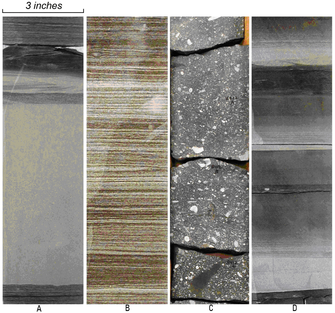 Figure 3.Photographs of Wolfberry lithofacies observed in core