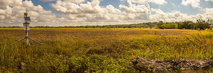 TxSON panorama