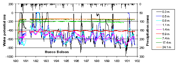 Temporal variability in water potential