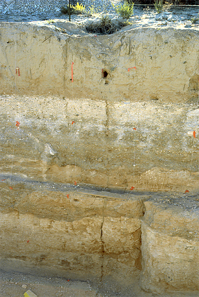 Figure 2. Gully at the surface