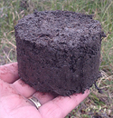 Soil Carbon Dynamics in Permafrost Soils, North Slope, Alaska