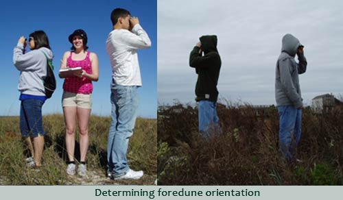 foredune orientation