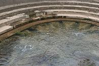 Barton Springs