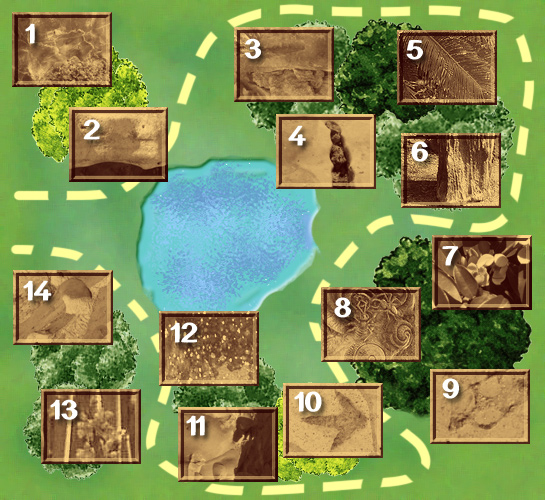 treasure hunt map