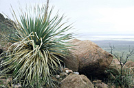 Franklin Mountains