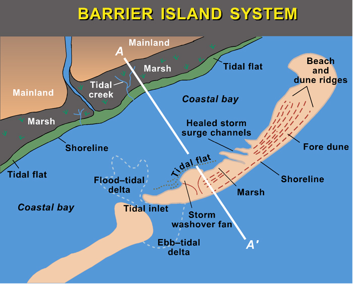 Barrier Island