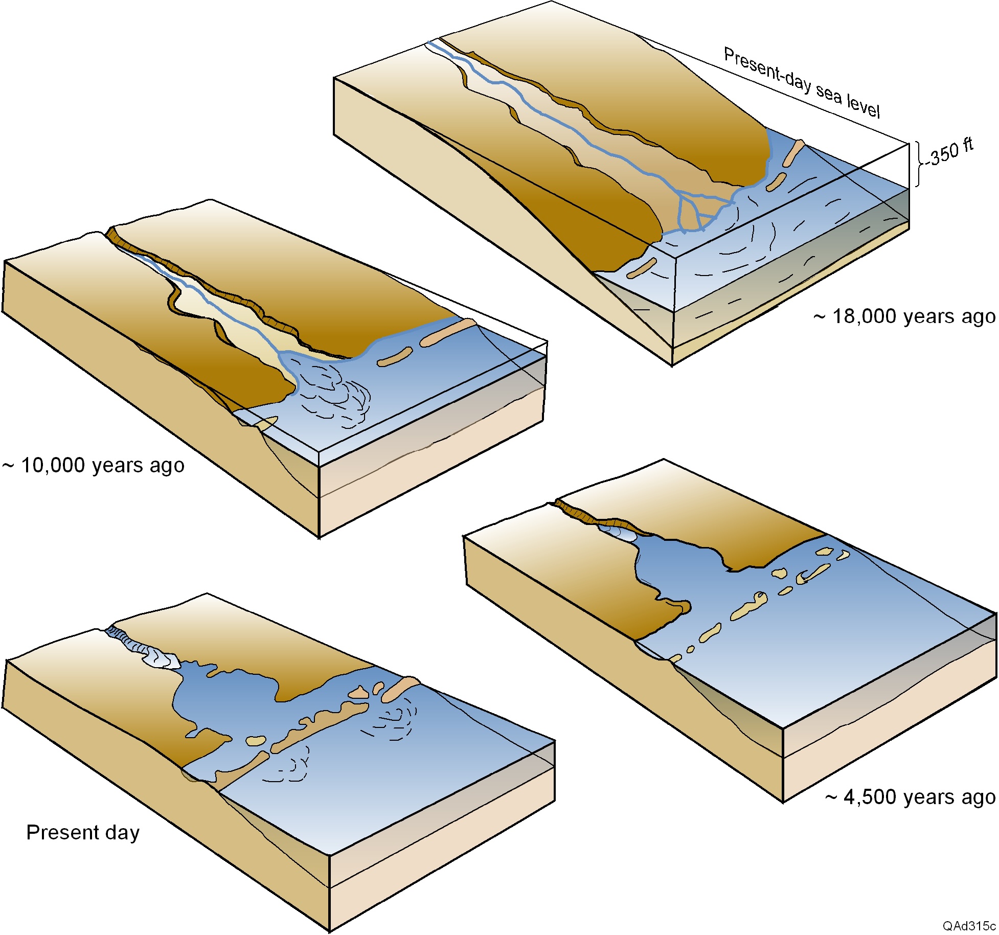 Effects of rising sea level