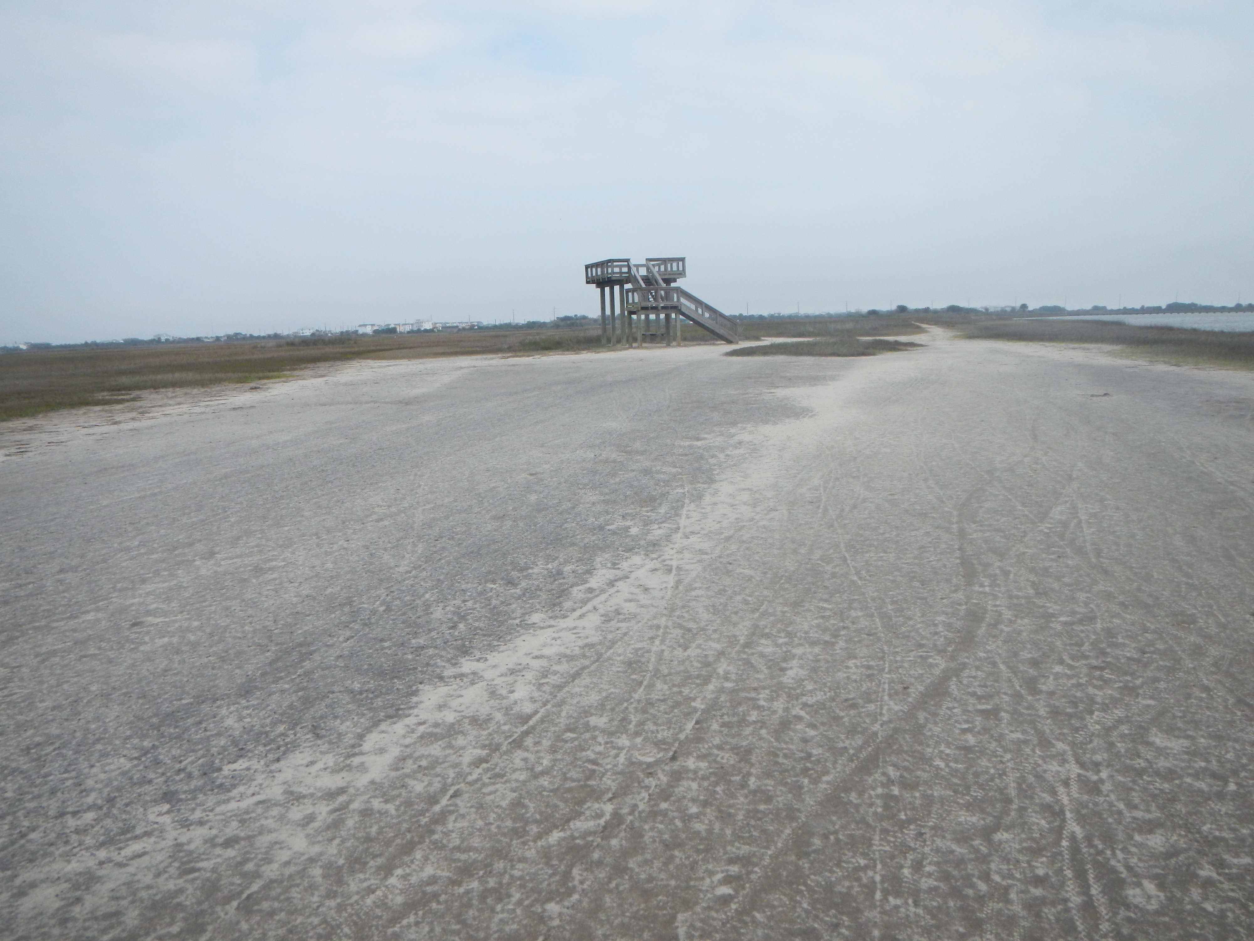 tidal flats, E2US, on the bay margin in Galveston Island State Park