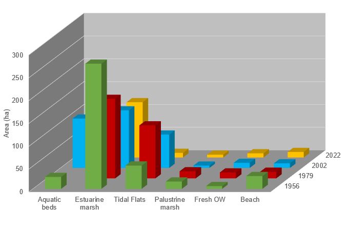 Areal distribution of habitats in Galveston Island State Park in 1956, 1979, 2002, and 2022. Modified from White and others, 2004.