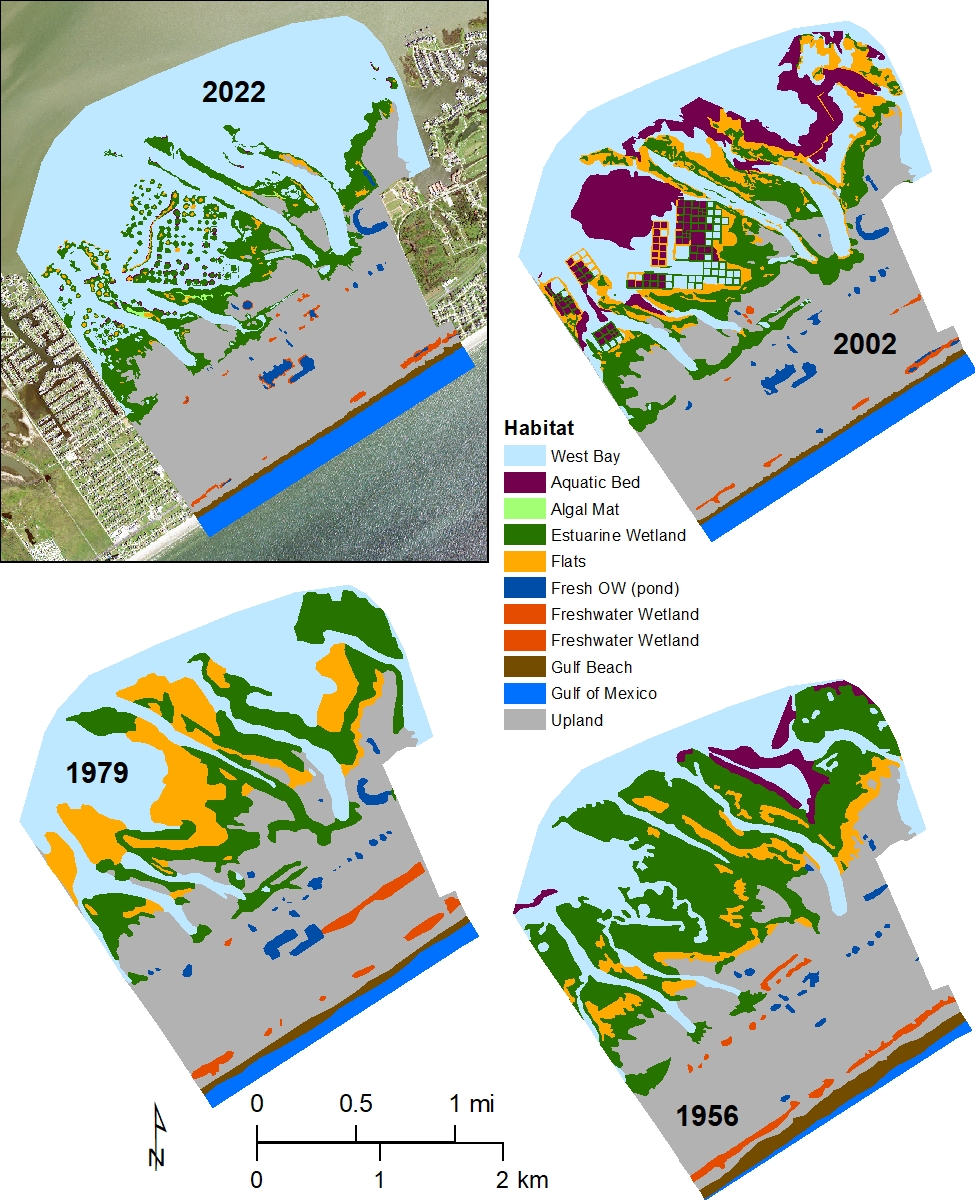Maps showing distribution of major wetland and aquatic habitats in 2022, 2002, 1979, and 1956 in Galveston Island State Park. Modified from White and others, 2004.